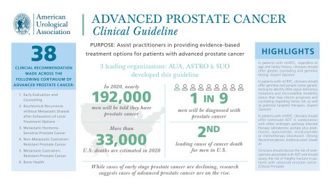 Infographic-Advanced-Prostate-Cancer-Guideline Infographic
