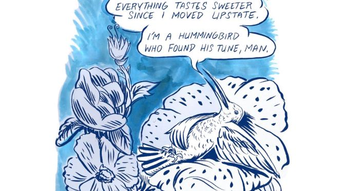 Humor: “How Birds Are Adjusting To Our New Reality” (New Yorker)