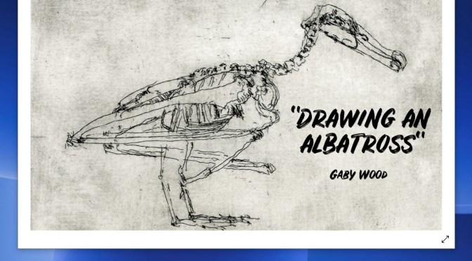 Podcasts: “Drawing An Albatross With A Camera Lucida” By Gaby Wood (LRB)