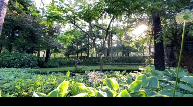 Music & Nature Videos: “Garden In The Forest”