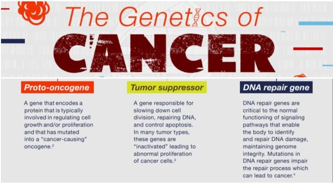 Research Infographics: “The Genetics Of Cancer”