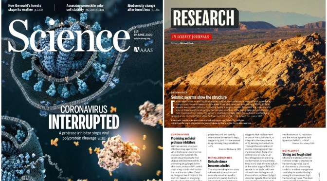 TOP JOURNALS: RESEARCH HIGHLIGHTS FROM SCIENCE MAGAZINE (JUNE 19, 2020)