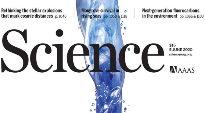 TOP JOURNALS: RESEARCH HIGHLIGHTS FROM SCIENCE MAGAZINE (JUNE 5, 2020)