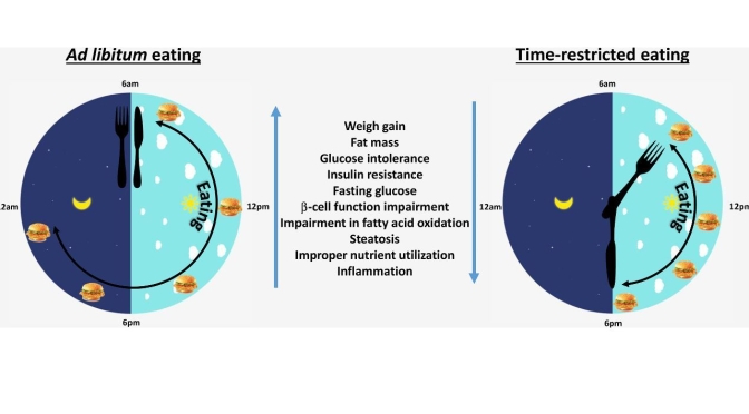 Diet Studies: Benefits Of “Time-Restricted Eating” (TRE) Improve With Greater Time Restriction