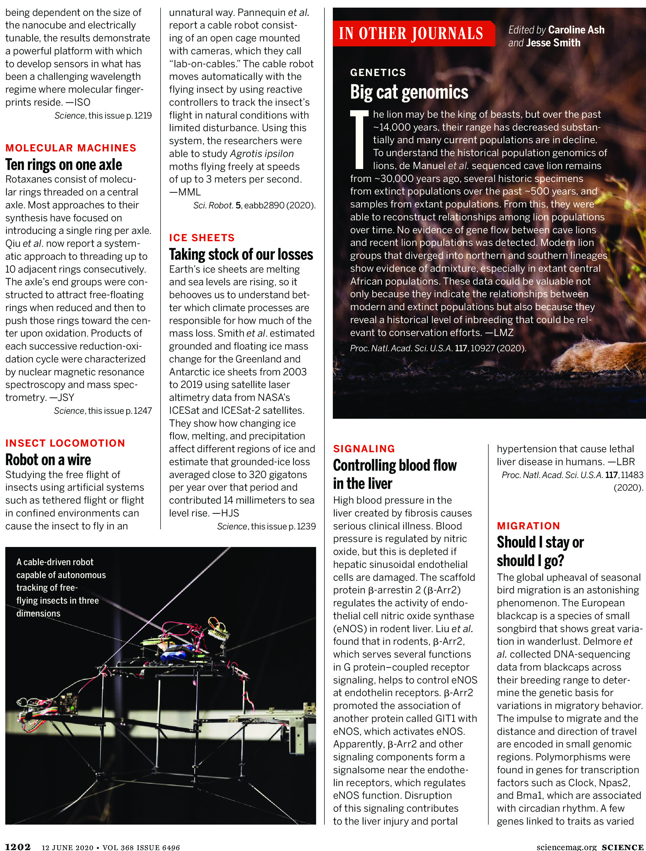 Science Magazine Research Highlights - June 12 2020