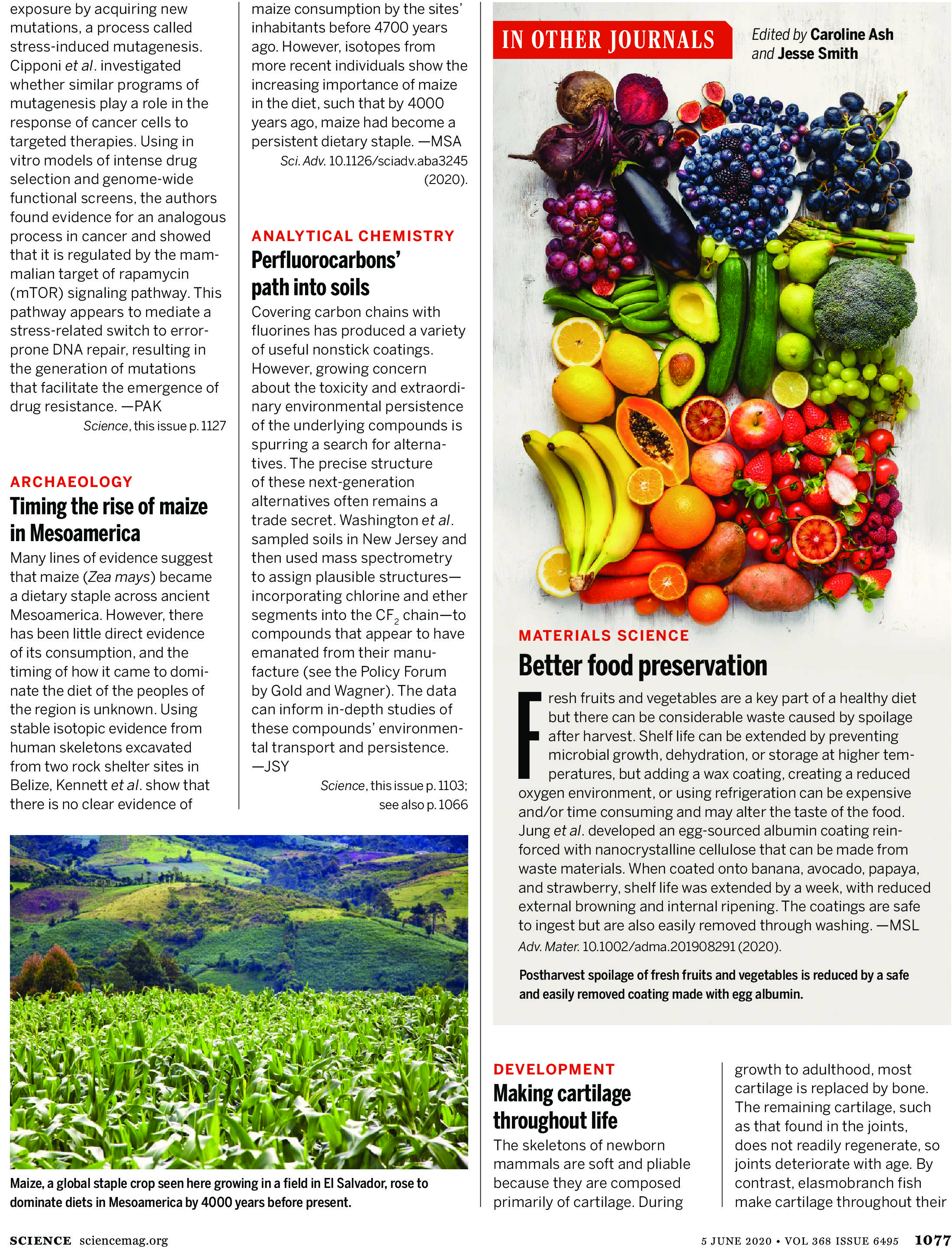 SCIENCE MAGAZINE RESEARCH HIGHLIGHTS - JUNE 5 2020