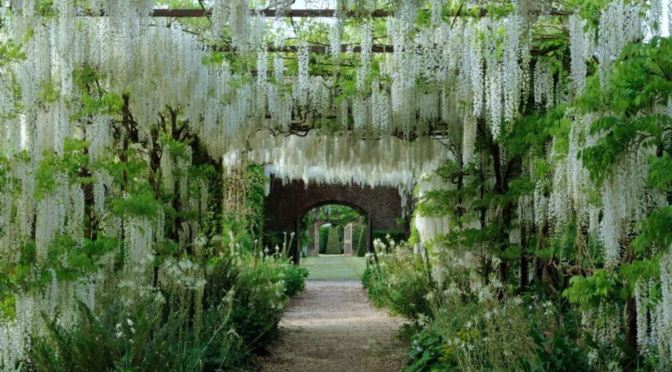 Top Gardens: Astonishing “Wisteria Pergolas” Of Petworth House, England