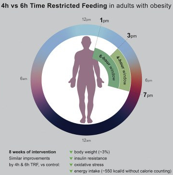 4- And 6-Hour Time Restricted Eating TRE Diets
