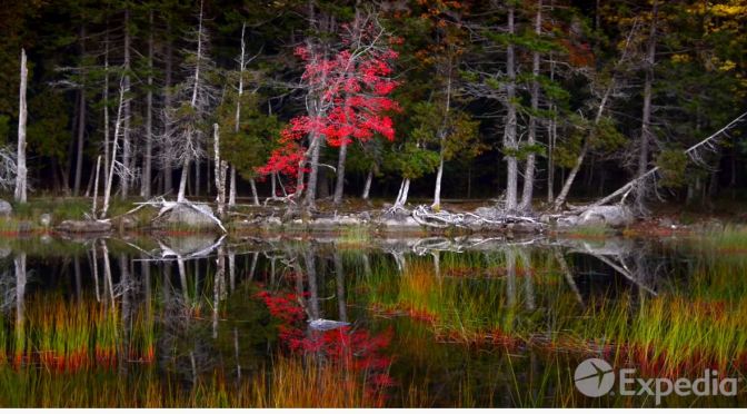 Top Travel Guide Videos: “Acadia National Park”