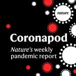 coronapod-report