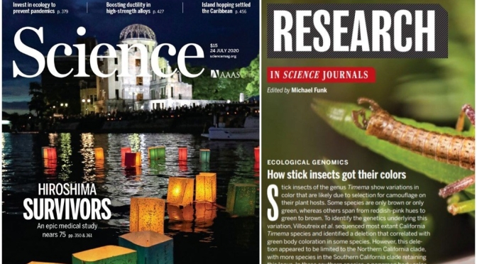 TOP JOURNALS: RESEARCH HIGHLIGHTS FROM SCIENCE MAGAZINE (JULY 24, 2020)
