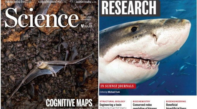 TOP JOURNALS: RESEARCH HIGHLIGHTS FROM SCIENCE MAGAZINE (JULY 10, 2020)