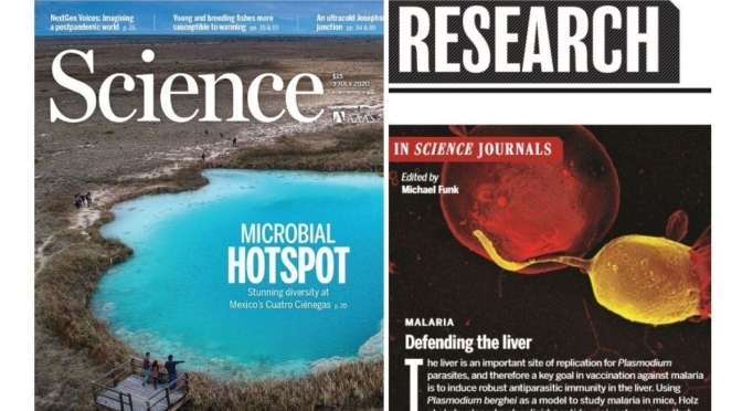 TOP JOURNALS: RESEARCH HIGHLIGHTS FROM SCIENCE MAGAZINE (July 3, 2020)