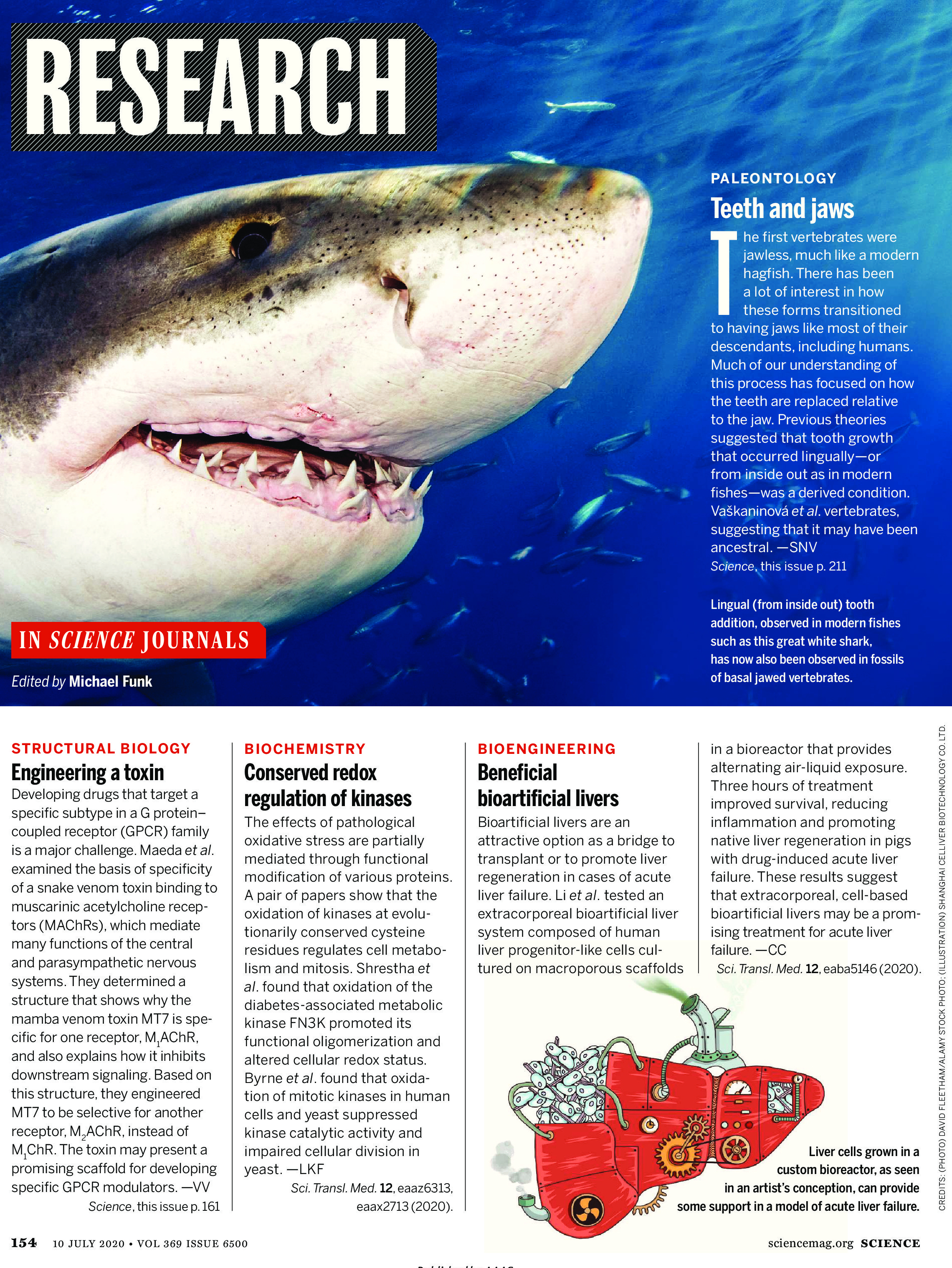 Science Magazine Research Highlights July 10 2020