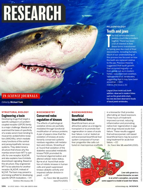 Science Magazine Research Highlights July 10 2020