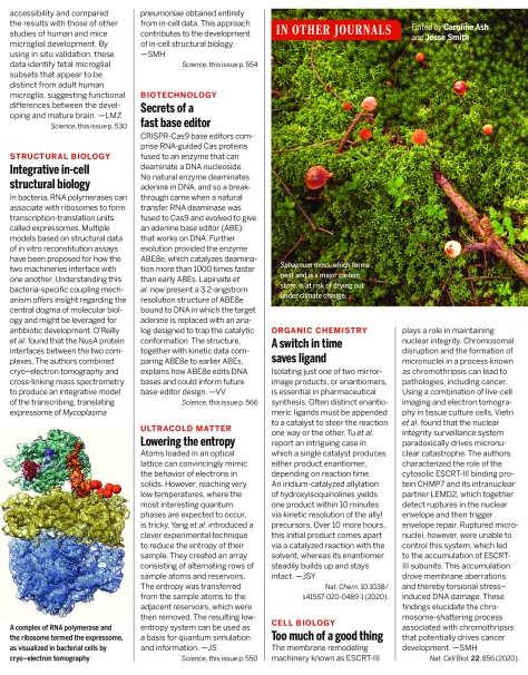 Science Magazine Research Highlights - July 31 2020