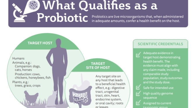 New Health Infographics: “What Are Probiotics?”