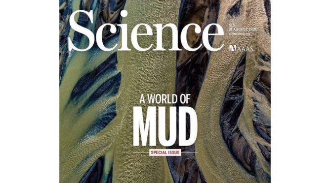 TOP JOURNALS: RESEARCH HIGHLIGHTS FROM SCIENCE MAGAZINE (AUGUST 21, 2020)