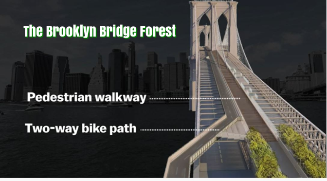 Urban Renewal: “The Brooklyn Bridge Forest” Wins Design Contest (2020)
