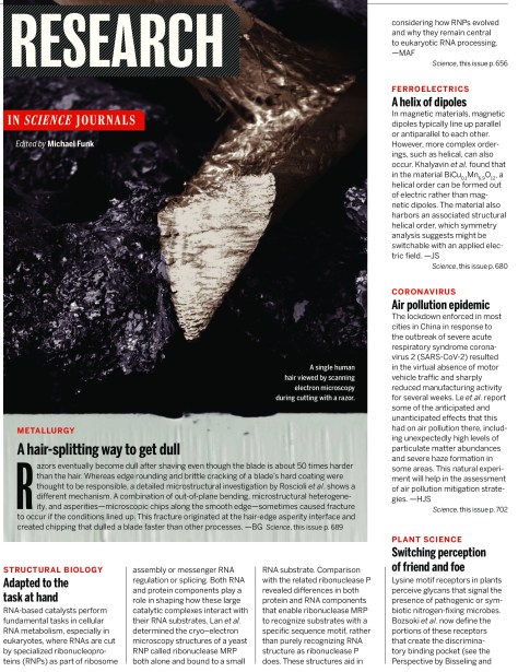 Science Magazine Research Highlights - August 7 2020