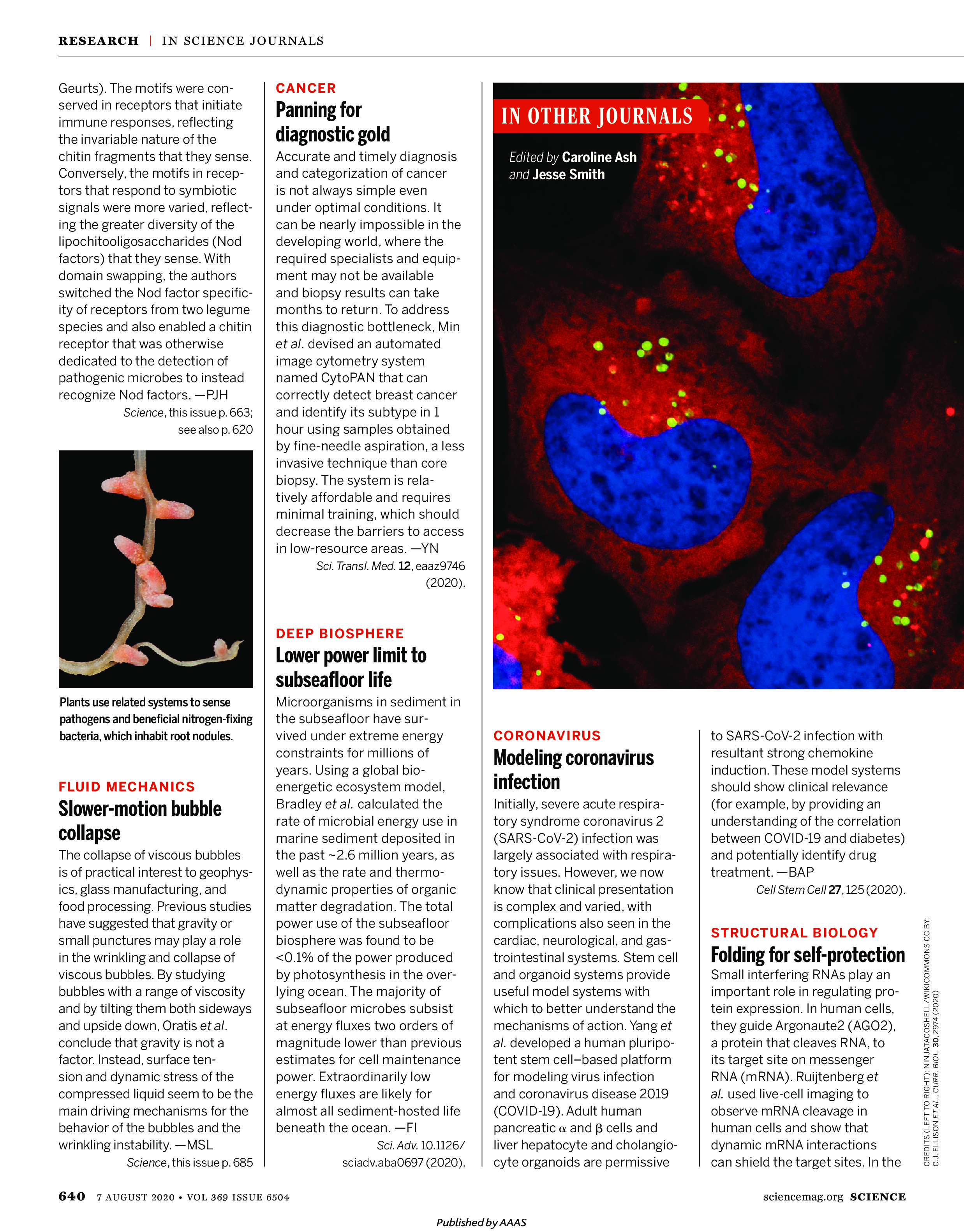 Science Magazine Research Highlights - August 7 2020