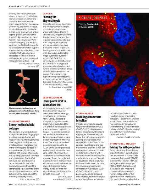Science Magazine Research Highlights - August 7 2020
