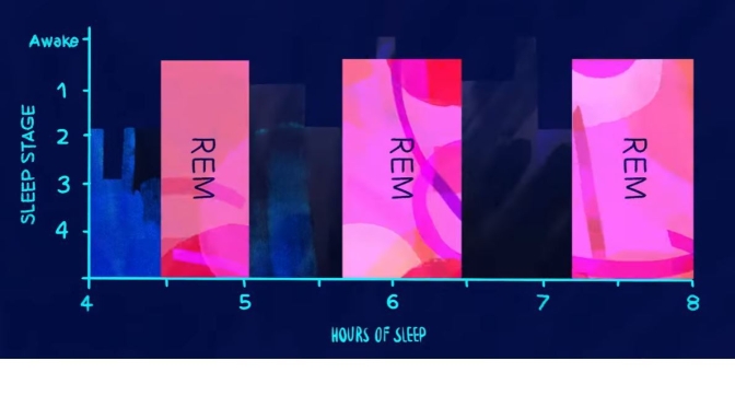 Health Video: “The Stages Of  REM & Non-REM Sleep”