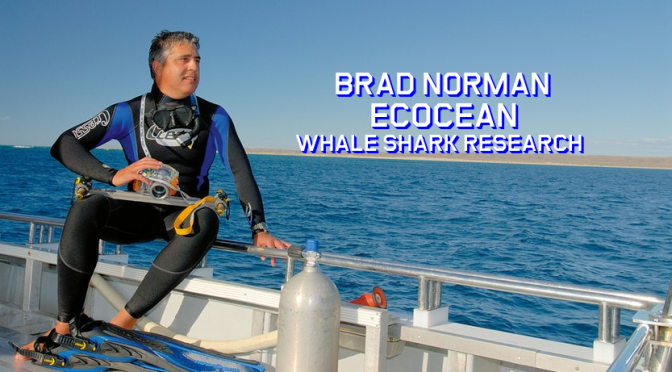 New Podcast Interviews: Whale Shark Scientist Brad Norman – “Ecocean”