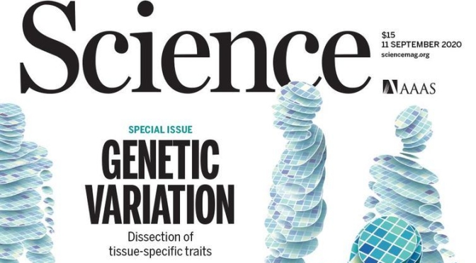 TOP JOURNALS: RESEARCH HIGHLIGHTS FROM SCIENCE MAGAZINE (SEPT 11, 2020)