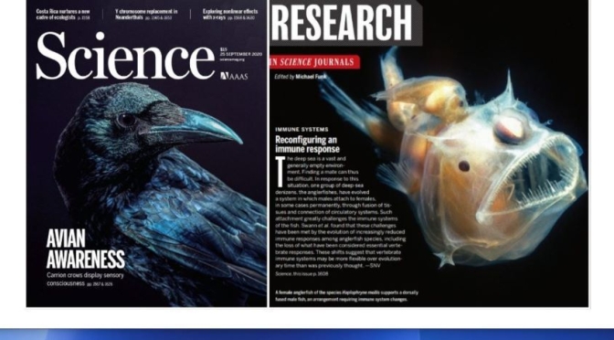 TOP JOURNALS: RESEARCH HIGHLIGHTS FROM SCIENCE MAGAZINE (SEPT 25, 2020)