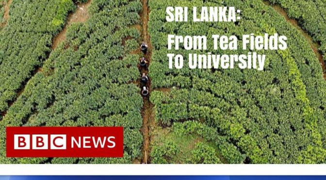 Travel & Culture Video: ‘Sri Lanka – From Tea Fields To University’ (BBC News)