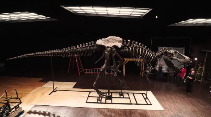 Paleontology: Largest And Most Complete “T-Rex” Skeleton To Be Auctioned
