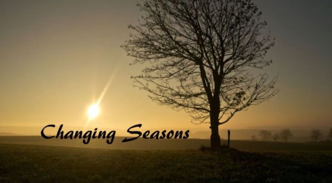 Timelapse Travel Videos: ‘Changing Seasons’ In Flanders, Belgium (2020)