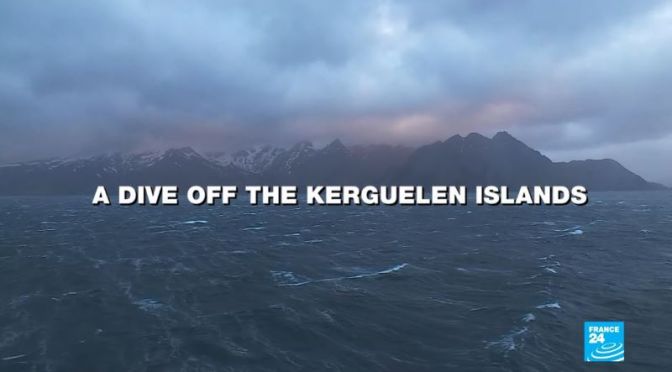 Travel & Nature Videos: Kerguelen Islands, France