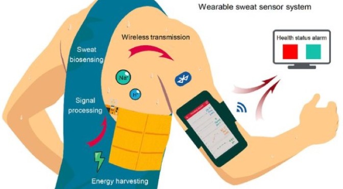 Innovations: ‘Wireless Wearable Health Sensor’ Is Human Motion Powered