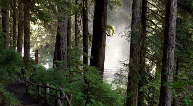 Top New Travel Videos: ‘Olympic National Park’ – Washington State (2020)
