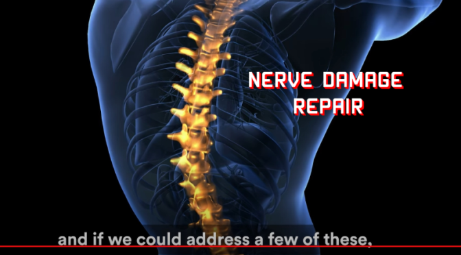 Medical Innovation Video: ‘Nerve Damage Repair’