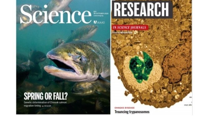 TOP JOURNALS: RESEARCH HIGHLIGHTS FROM SCIENCE MAGAZINE (OCT 30, 2020)