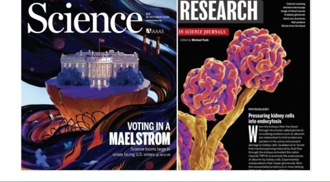 TOP JOURNALS: RESEARCH HIGHLIGHTS FROM SCIENCE MAGAZINE (OCT 16, 2020)