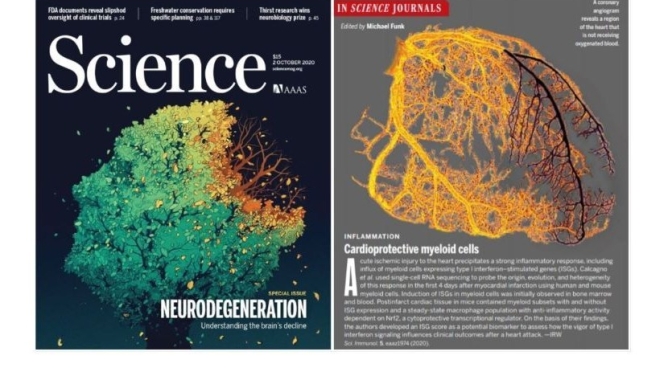 TOP JOURNALS: RESEARCH HIGHLIGHTS FROM SCIENCE MAGAZINE (Oct 2, 2020)