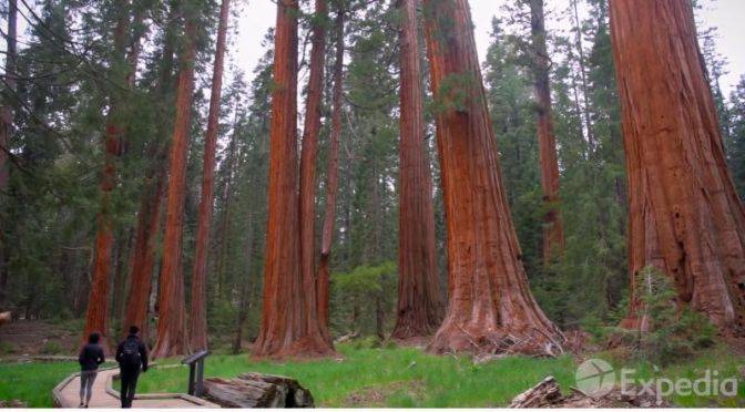 New Travel Guide Videos: ‘Sequoia And Kings Canyon National Parks’