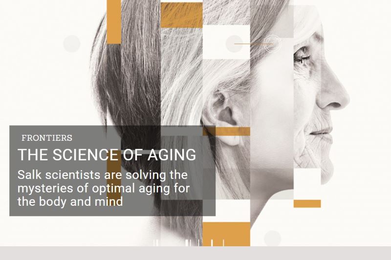 Healthy Longevity: ‘The Science Of Aging’ (Salk Institute Video ...