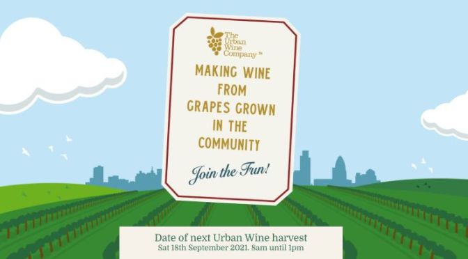 Winery Profile Podcast: The Urban Wine Company, London, ‘CHATEAU TOOTING’