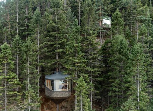 Sustainable Architecture: ‘Woodnest Treehouses’ Above Fjord In Norway ...