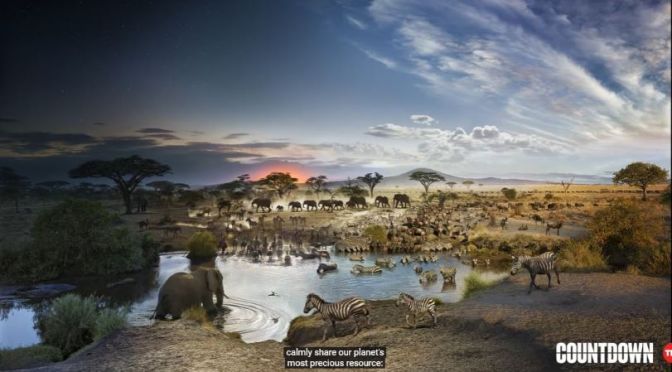 Wildlife Video: ’24 Hours On Earth’ – In One Image