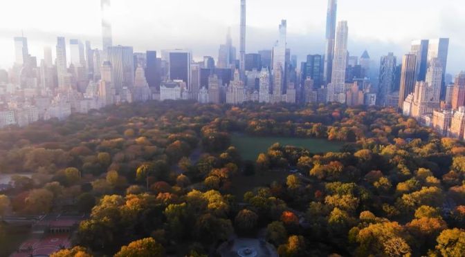 Aerial Travel: ‘Autumn Over  Central Park, NY’