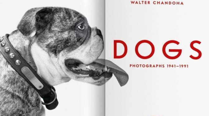 New Photography Books: ‘Dogs – Walter Chandoha’, 1941-1991 (Taschen 2020)
