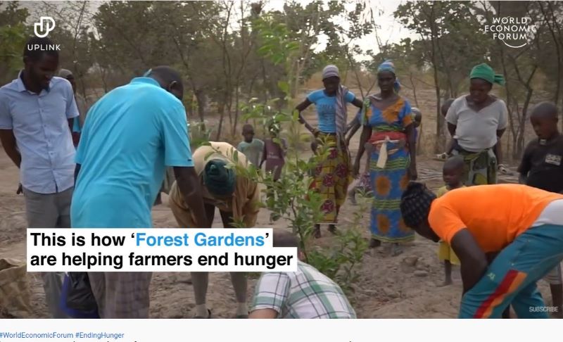 Ecology & Culture Video: ‘Forest Gardens’ Helping To End World Hunger ...