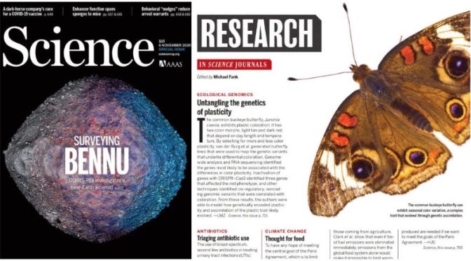 TOP JOURNALS: RESEARCH HIGHLIGHTS FROM SCIENCE MAGAZINE (NOV 6, 2020)