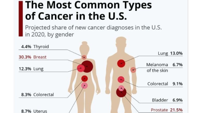 Infographic: ‘The Most Common Types Of Cancer’